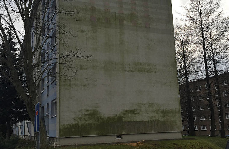 Fassadenreinigung von Grünalge